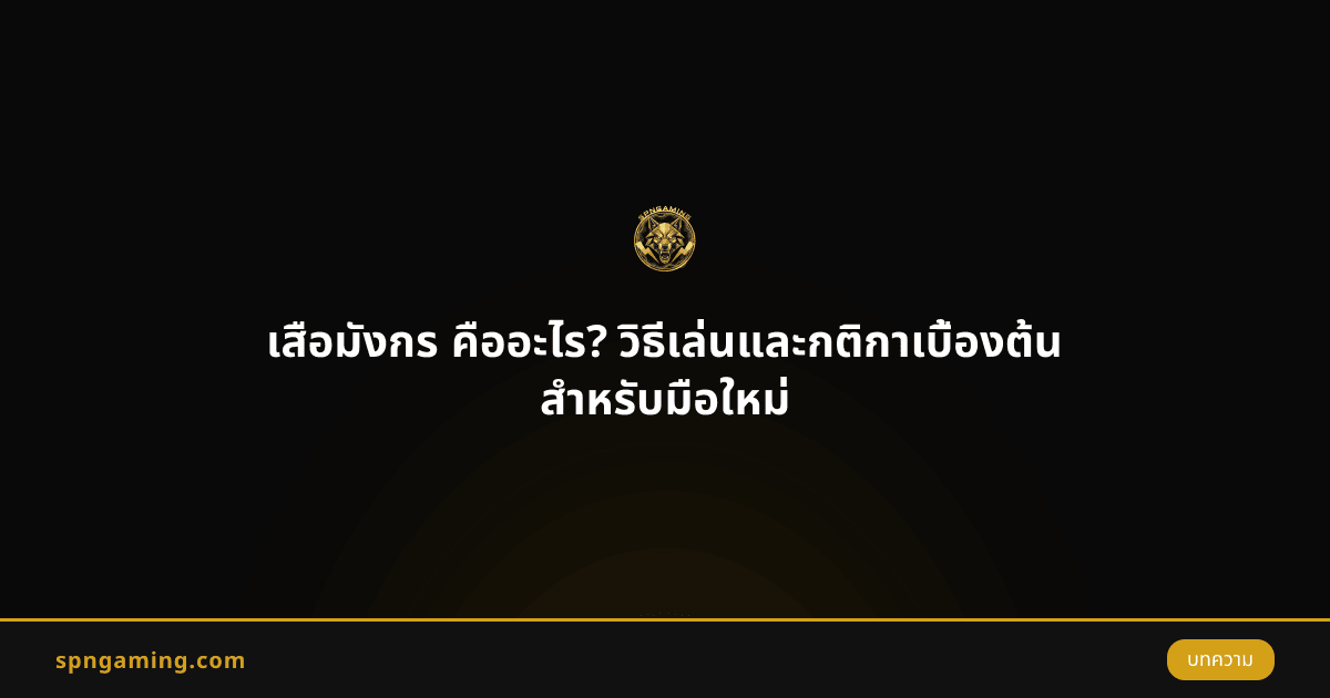เสือมังกร คืออะไร? วิธีเล่นและกติกาเบื้องต้น สำหรับมือใหม่