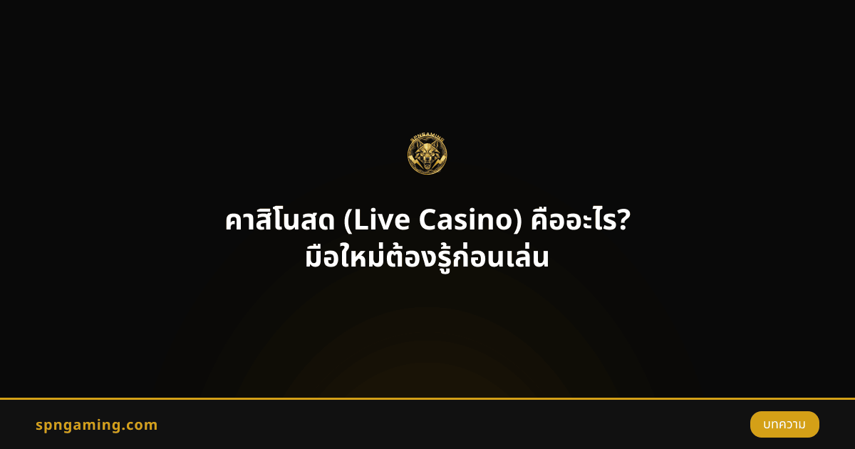 คาสิโนสด (Live Casino) คืออะไร? มือใหม่ต้องรู้ก่อนเล่น